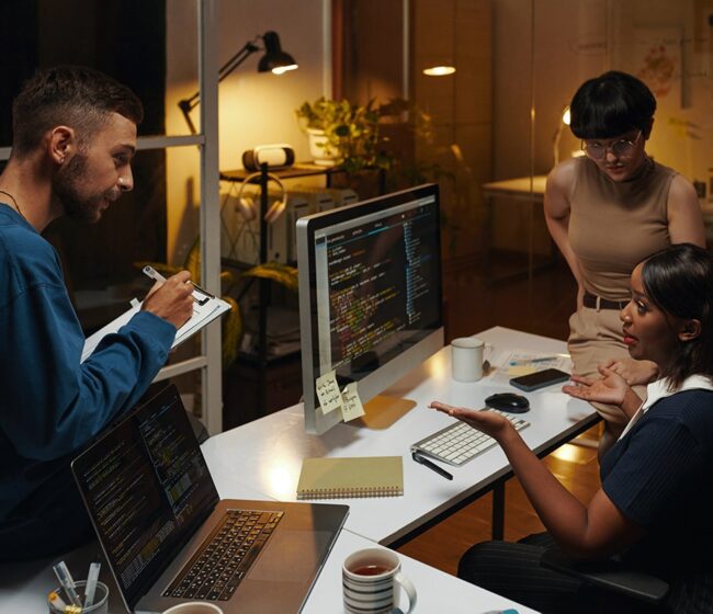 Thèmes et plugins WordPress personnalisés selon vos exigences